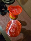 Boost Oxygen 12 Liter  lot Of 2 