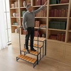     4 Steps Stairs With Detachable U-shape Dual Handrails Stairs W leveling Foot