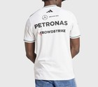 Mercedes Amg Petronas F1