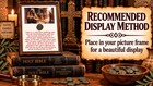 5 Hi Quality Widows Mite Coins Holy Land Artifacts Free Display Cards Coas  b775