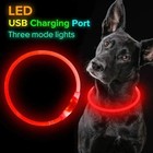 Share Flashing Led Light Up Dog Collar Usb Rechargeable Pet Luminous Safety Nylo