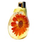 Bath Body Works Love   Sunshine Body Wash Bubble Bath Limited Edition 9 7 Oz New