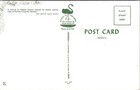 Vintage Postcard Chrome Florida Cypress Gardens Tropical Flowers Cypress Trees
