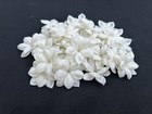 25 Pcs White Clay Jasmine Pikake Flower For Jewelry Making  Hair Accessories