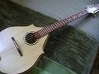 R g  Noyes Octave Mandolin birds Eye Maple