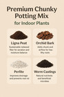 Premium Chunky Potting Soil Mix For Indoor Plants     Gnat Repellent Soil Blend