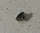 Tous Black Bear Earring  just One 