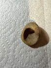 Little Big Horn Artifacts Pottery Paint Pot W  Provenance Paperwork