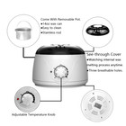 Professional Wax Warmer Heater Hair Removal Depilatory Home Waxing Set Bean 110v