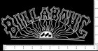 Billabong Custom Logo Die Cut Sticker Decal 10 x4  Pick Your Color Surf Skate