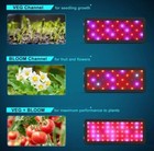 600w Led Grow Light 2x2ft Coverage Double Switch Full Spectrum Grow Lamp Plants