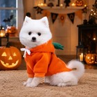Dog Christmas Halloween Costumes dog Hoodies For Small Dogs Cats  Cat Puppy O   