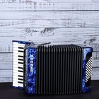  demo  Hohner Bravo Ii 48 Accordion   Blue