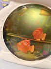 Fisher Price Peaceful Planet Crib Soother 1999 Aquarium Vintage Tested And Works