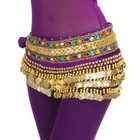 Belly Dance Hip Scarf Skirt Wrap Gold Coins Band Gemstone Belt Velvet Skirt