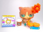 Littlest Pet Shop Rare Brown Persian Cat  371 With Accessories Authentic