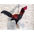 Fighting Rooster Model Chicken Doll     Realistic Rubber Silicone Toy
