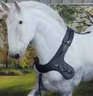 Comfy Fit     Euro Broller Sport Harness Collar Mini - Large Draft