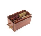 Tiny 1880 s Electro-shock Set W excellent  Undamaged Glass Grenet Cell   Works