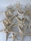 Lot 45 Real Dried Starfish Knobby Finger 4-11  Beach Nautical Coastal Craft