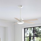 Hunter Fan 52 Inch Casual White Indoor outdoor Ceiling Fan With Light And Remote