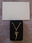 Elvis Presley Tcb Gold Plated Rhinestone Necklace elvis Aloha Photo 1973 Lot 2