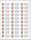 150 Fairy With Wings Mythical  Return Address Labels Personalized