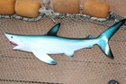 Monster 28  Realistic Shark Replica wall Hanging beach Decor free Ship 