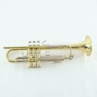Bach Model 18043r Stradivarius Professional Bb Trumpet Sn 795690 Open Box