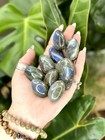 Labradorite Tumbled Crystal Stones  1 2 Inch To 2 Inch  Grade Aaa
