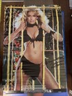 Vintage Poster Lot Of 4 Bikini Girls Pin Ups 80s