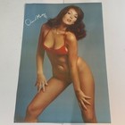 Vintage 1970s Pin-up Girls Poster Lot - Judy Landers Diane Markoff Caren Kaye