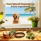 4 Pack Flea And Tick Collar Dogs With Natural Essential Oils Waterproof For All