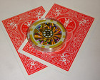 Boston Bruins Nhl Poker Chip Card Guard Protector Encased
