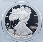 2022-w Proof American Silver Eagle Dollar Pcgs Pr70dcam Gold Shield Label- U2001