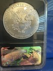 2017 Silver Eagle Early Releases Ngc Ms70