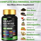 Sea Moss   Shilajit  black Seed Oil  Turmeric  Ashwagandha  Ginger  Vitamin D 