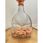 Vtg Female Body Glass Bottle Decanter W  Granny Head Stopper Retro Oddity Decor