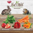 Kaytee Food From The Wild Natural Snack For Rabbits   Guinea Pigs  1 Oz