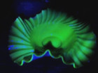 1890s Uranium Glass Silverplate Brides Bowl Basket Cased Ruffle Aesthetic Cherub
