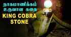 King Cobra Pearl   Cobra Stone Nagamani   King Cobra Snake Pearl   Nagamani Ston