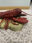 Gemmy Rocky The Singing   Dancing Lobster -  Works - Please Read Description