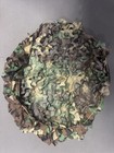 One Hundred Concepts M81 Woodland Packscrim