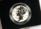 2019-w  25 Reverse Proof 1 Ounce Palladium Eagle Coin  W  Original Box   Coa