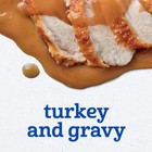  Gerber 2nd Foods Turkey   Gravy 2 5oz Jar 10pk 