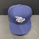 Vtg Milb 7 5 8 New Era 5950 Hat On Field Lehigh Valley Ironpigs Hat