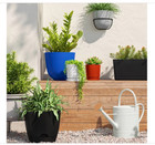 2gal Galvanized Sheet In New Powder Coated Finish Steel Watering Can Ivory