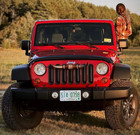 Large    doble    - Polished Steer Bull Cow Longhorn Wall Mount South West Art Decor