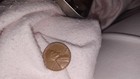 1964 Lincoln Memorial Penny 1c One Cent Coin Ungraded  no Mint Mark  l  Error