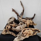 Lot Of Manzanita Driftwood Pieces 18 Pieces Unique Shapes   manz 10